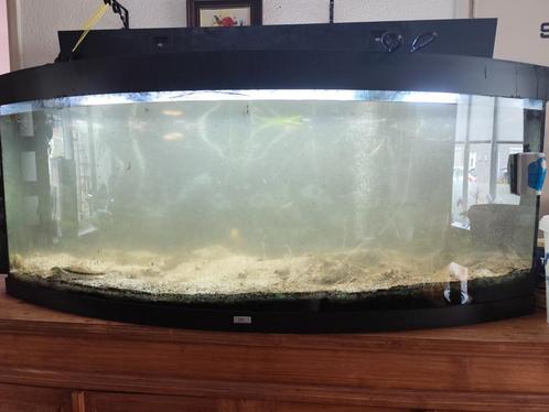 Gratis, Dieren en Toebehoren, Vissen | Aquaria en Toebehoren, Gebruikt, Leeg aquarium, Ophalen