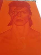 Boek David Bowie IS, Ophalen of Verzenden, Nieuw, Boek, Tijdschrift of Artikel