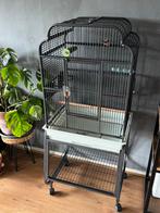 Strong Villa Gaia - Vogelkooi, Dieren en Toebehoren, Vogels | Hokken en Kooien, Ophalen, Zo goed als nieuw, Metaal, Vogelkooi