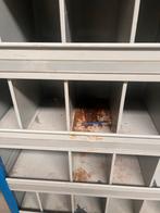 Metalen kast - 182x32x207cm, Ophalen, Gebruikt, IJzer