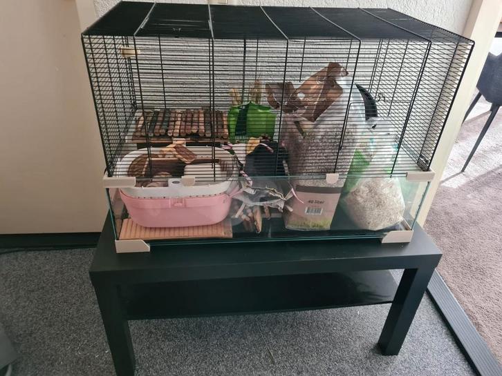 Ferplast Hok voor kleine knaagdieren - Karat 80, Dieren en Toebehoren, Knaagdieren en Konijnen | Hokken en Kooien, Gebruikt, Hok