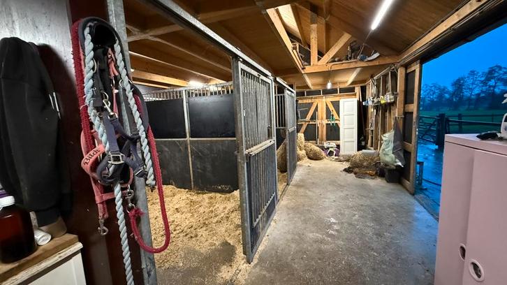 Pensionstalling aangeboden in de wilgen / drachten, Dieren en Toebehoren, Stalling en Weidegang, Stalling, 1 paard of pony