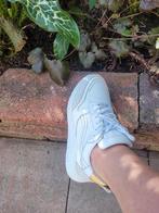 MANFIELD  wit sportschoenen/sneakers mt.36 nieuw, Ophalen of Verzenden, Nieuw, Wit, Sneakers of Gympen