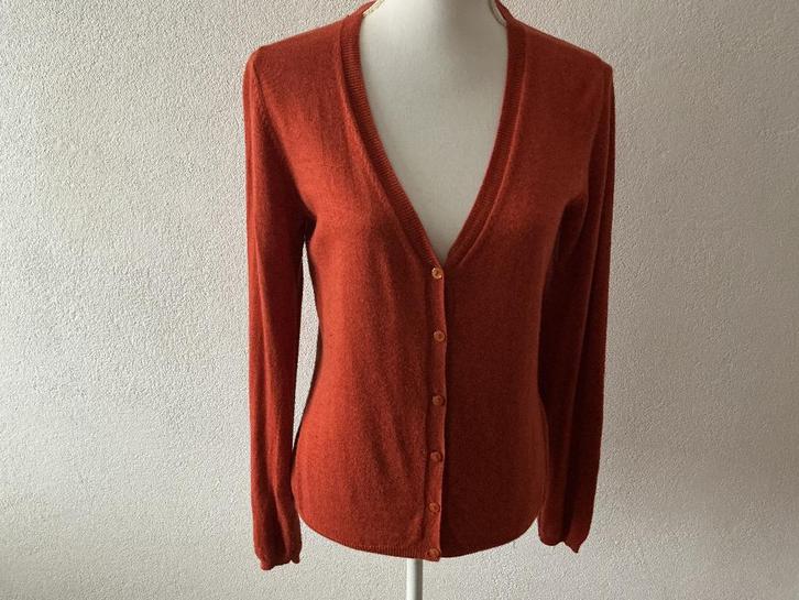 Anna van toor vest L, Kleding | Dames, Truien en Vesten, Zo goed als nieuw, Maat 42/44 (L), Bruin, Ophalen of Verzenden