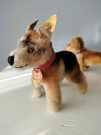 Steiff miniatuur hond Arco en Hexie, vintage, Ophalen, Zo goed als nieuw, Hond of Kat
