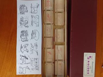 Oude school stempels Biologie  beschikbaar voor biedingen