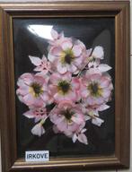 FRAAIE LIJST MET BOL GLAS * Veranderbaar *, Huis en Inrichting, Woonaccessoires | Lijsten, Minder dan 50 cm, Ophalen of Verzenden