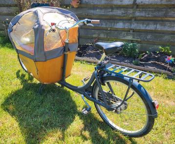 Babboe bakfiets, niet elektrisch beschikbaar voor biedingen