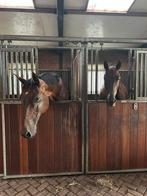Stalling Borgercompagnie, Dieren en Toebehoren, Stalling en Weidegang, Weidegang, 1 paard of pony