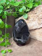Septarie ei, drakenei, Verzamelen, Mineralen en Fossielen, Ophalen of Verzenden