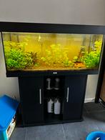 Juwel Rio 180 helialux LED app control en oase buitenfilter, Dieren en Toebehoren, Ophalen, Gebruikt, Leeg aquarium