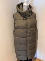 Nieuw lange Bodywarmer, Kleding | Dames, Bodywarmers, Verzenden, Nieuw, Groen