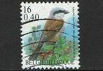 b2000-16, Ophalen of Verzenden, Gestempeld