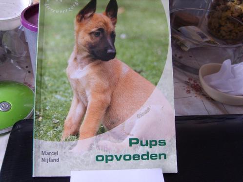 Pups opvoeden, Boeken, Dieren en Huisdieren, Nieuw, Honden, Ophalen of Verzenden