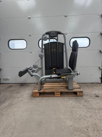 Technogym rotary calf/ calf raise/ calf extension/ kuiten beschikbaar voor biedingen