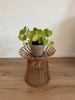 Plantenstandaard kanelstång rotan, Ophalen, Minder dan 30 cm, Minder dan 60 cm, Rond