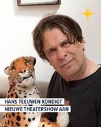 Te koop 2 kaarten Hans Teeuwen, Tickets en Kaartjes, Twee personen, November