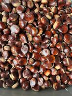 Verse tamme kastanjes te koop! € 2,- per kg. Beesel, Ophalen