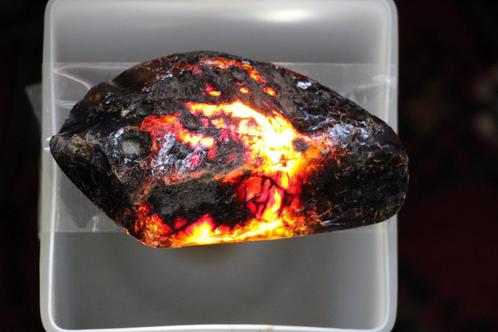 Amber (barnsteen), Verzamelen, Mineralen en Fossielen, Fossiel, Ophalen of Verzenden
