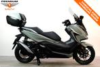 Honda FORZA 350 (bj 2021), Bedrijf, Scooter, 330 cc, 12 t/m 35 kW