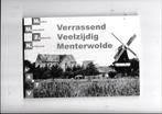 Verrassend Veelzijdig Menterwolde, Boeken, Geschiedenis | Stad en Regio, Verzenden, Zo goed als nieuw