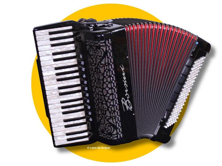 Borsini K10, Muziek en Instrumenten, Accordeons, Nieuw, Toetsaccordeon, 120-bas, Overige merken, Met koffer, Met riemen, Ophalen