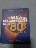 De Gids over Beelddenken Kids - Sandra Kleipas, Ophalen of Verzenden, Zo goed als nieuw, Sandra Kleipas