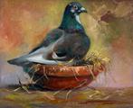 Olieverf schilderijen: Duif in de nest, Minder dan 50 cm, Oorspronkelijke maker, Verzenden, Nieuw