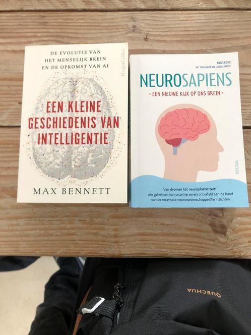 2 boeken over het brein, Boeken, Overige Boeken, Zo goed als nieuw, Ophalen of Verzenden