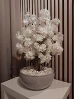 Bloesemboom, Ophalen, Nieuw