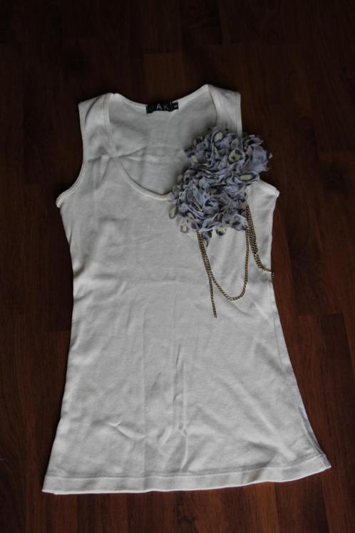 t-shirt diversen maat s, Kleding | Dames, T-shirts, Gedragen, Maat 36 (S), Ophalen of Verzenden