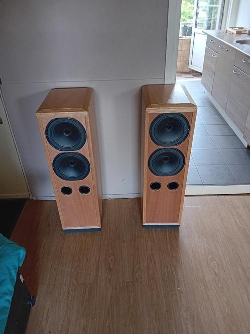 TANNOY MET 2X 20CM DUAL-C DRIVERS GELIJK AAN 15 INCH, Audio, Tv en Foto, Luidsprekers, Zo goed als nieuw, Front, Rear of Stereo speakers