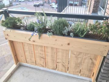 Steigerhouten plantenbak - ophalen vanaf begin augustus beschikbaar voor biedingen