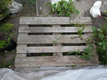 Pallets gratis beschikbaar voor biedingen