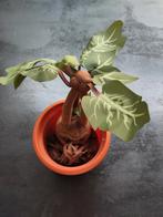 Harry Potter Mandrake nagenoeg ongebruikt, Ophalen of Verzenden, Zo goed als nieuw, Tv-serie