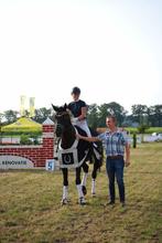 Lichte tour amazone heeft tijd over om les te geven, Diensten en Vakmensen, Dieren | Paarden | Verzorging, Oppas en Les, Paardrijles of Ponykampen