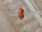 Trollbeads Uniek Koi CC, Glas of Kristal, Nieuw, Ophalen of Verzenden, Trollbeads