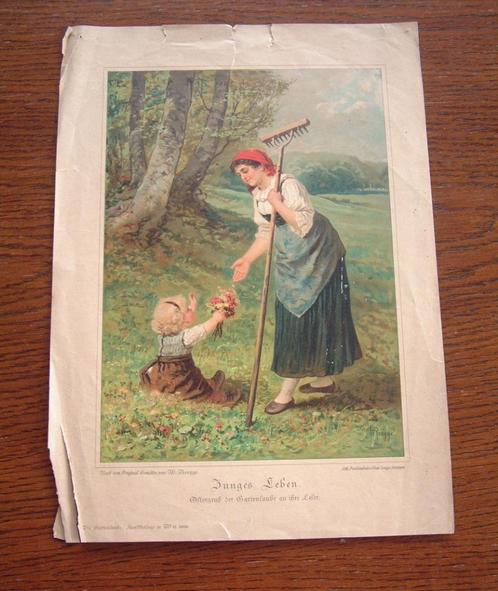 antieke prent Junges Leben 1890 W.Roegge, Verzamelen, Overige Verzamelen, Ophalen of Verzenden