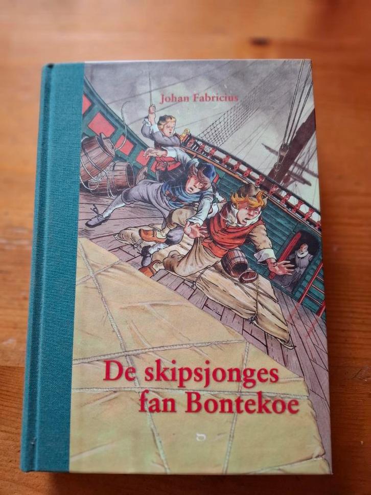 De Scheepsjongens van Bontekoe - Johan Fabricius, Boeken, Kinderboeken | Jeugd | onder 10 jaar, Zo goed als nieuw, Fictie algemeen