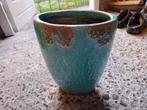 Bloem,plant pot, Ophalen of Verzenden, Overige soorten, Minder dan 100 cm