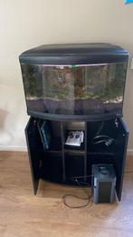 Aquarium Cayman, Dieren en Toebehoren, Ophalen, Gebruikt, Leeg aquarium