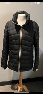 Zwarte winterjas Falcon maat L skijas, Maat 42/44 (L), Ophalen of Verzenden, Gedragen, Falcon