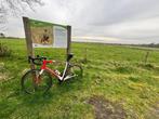 Cervelo R3 Racefiets Team Sunweb- Shimano Ultegra - Maat 61, Overige merken, 28 inch, Carbon, Heren
