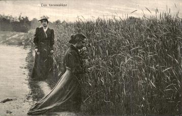 Een Tarweakker  beschikbaar voor biedingen