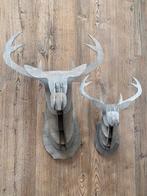 2 herten hoofden, Ophalen of Verzenden, Zo goed als nieuw