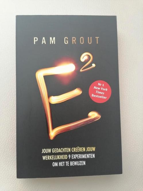 Pam Grout - E-Kwadraat, Boeken, Esoterie en Spiritualiteit, Gelezen, Overige onderwerpen, Ophalen of Verzenden