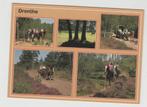 Drenthe 5 luik Paarden Ongelopen, Verzenden, 1980 tot heden, Ongelopen, Drenthe