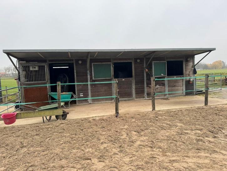 prive stalling aangeboden rhoon 2x, Dieren en Toebehoren, Stalling en Weidegang, Stalling