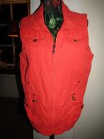 E950 CECIL mt L bodywarmer rozerood, Verzenden, Maat 42/44 (L), Zo goed als nieuw, Cecil