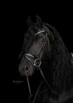 Hoofdstel dressuur full, Dieren en Toebehoren, Paarden en Pony's | Hoofdstellen en Tuigage, Ophalen of Verzenden, Zo goed als nieuw